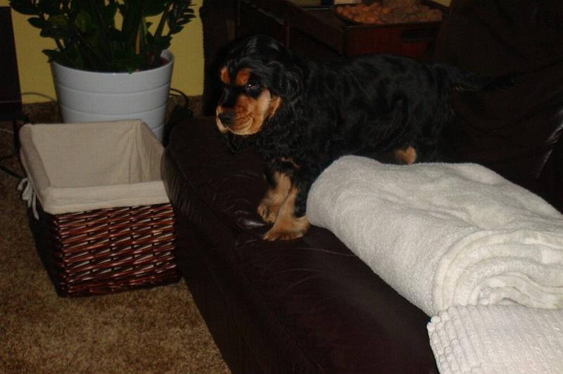 Art_25.1.2010 (4).JPG